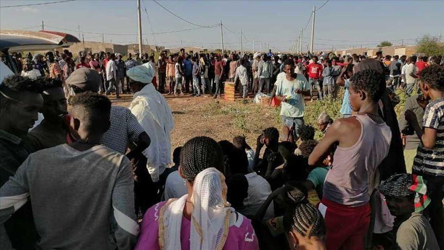صحيفة جارديان": بعد اغتصابهن وقتلهن.. الضباع تنهش جثث فتيات في "تيغراي" بإثيوبيا